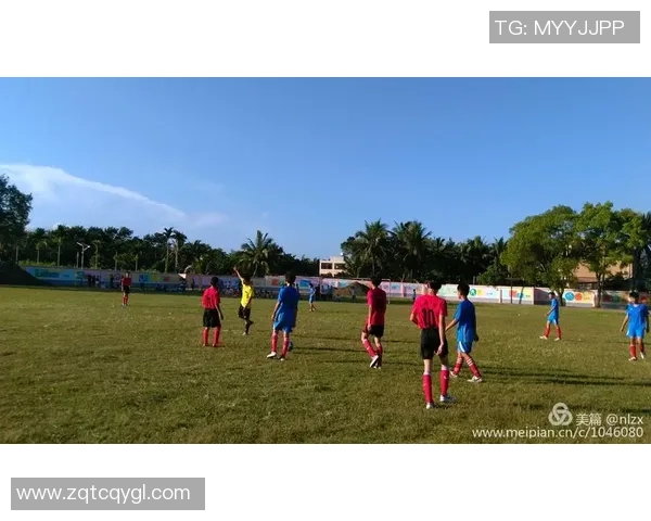 越南足球明星举牌引发热议展现体育精神与文化交流 越南足球明星举牌引发热议展现体育精神与文化交流