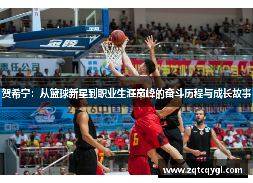 贺希宁：从篮球新星到职业生涯巅峰的奋斗历程与成长故事